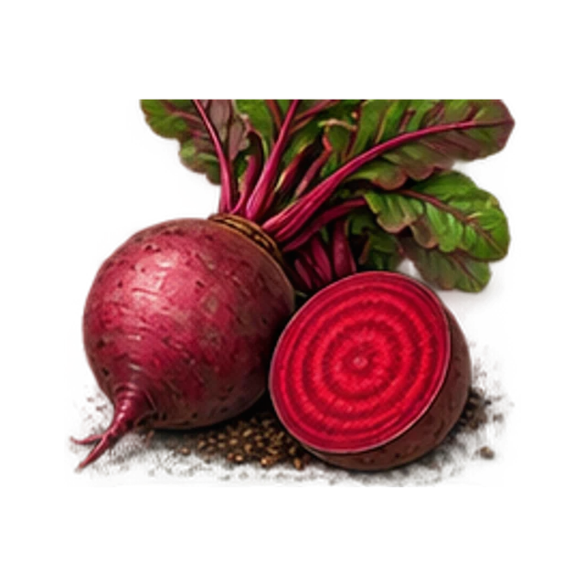 Red Beet guide illustration