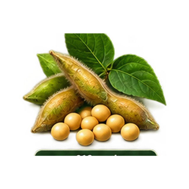 Soybeans guide illustration