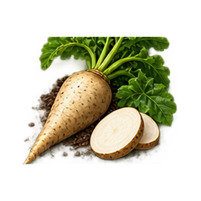 Sugar Beet guide illustration
